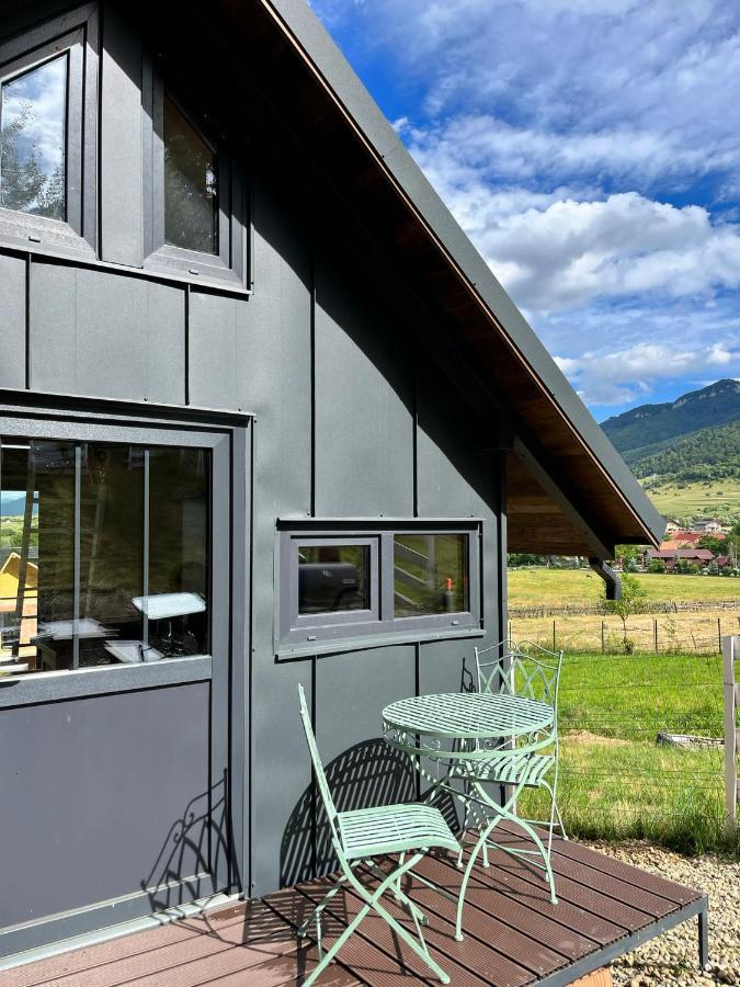 Bramble Tiny House Chalet Zarnesti